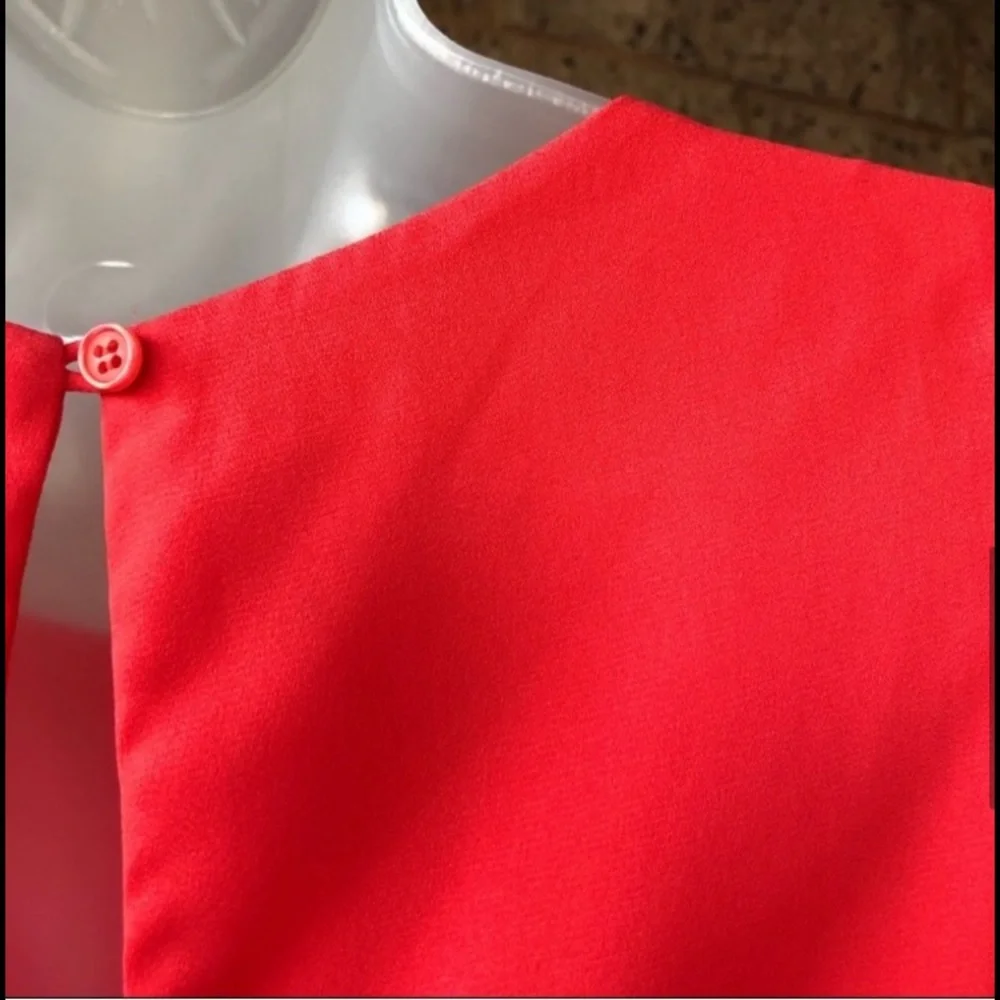 Sans Souci Sleeveless Chiffon Red Shift Dress | S - Picture 4 of 7